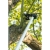 ad8ff4868b42cdce16687f3e03a8ae98