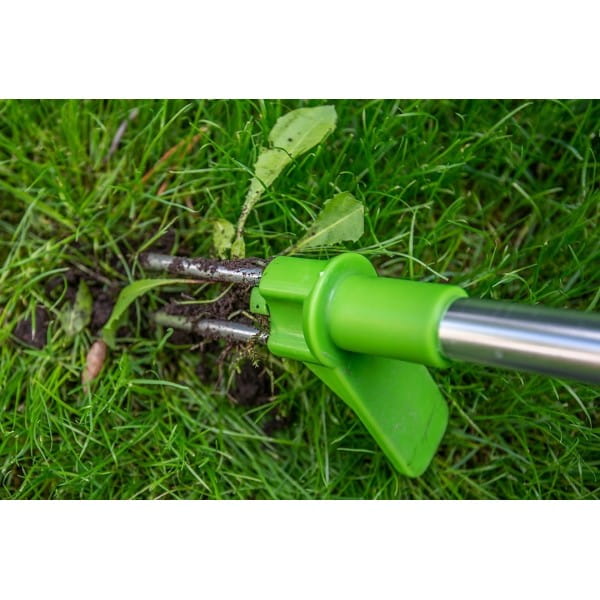 90ae929e796b524a072925f1f2b10559