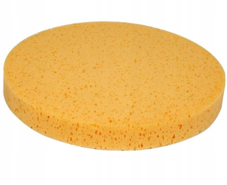 zdjęcie 6