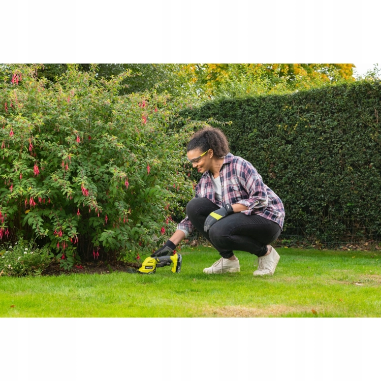 zdjęcie 7