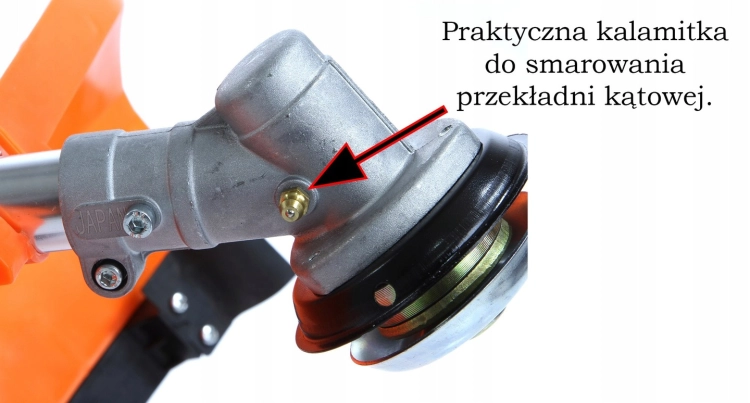 zdjęcie 12