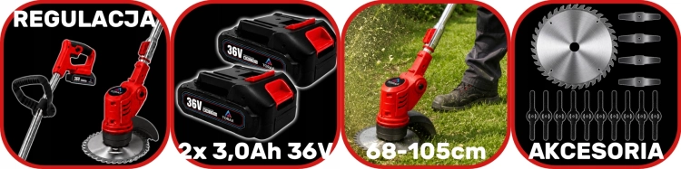 zdjęcie 9