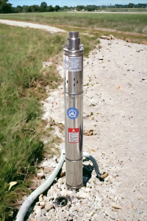 zdjęcie 5