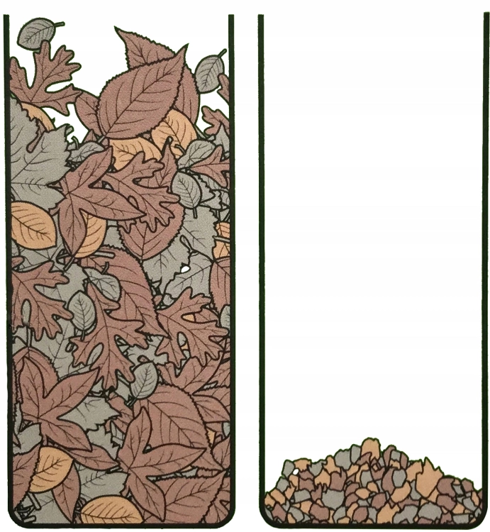zdjęcie 8