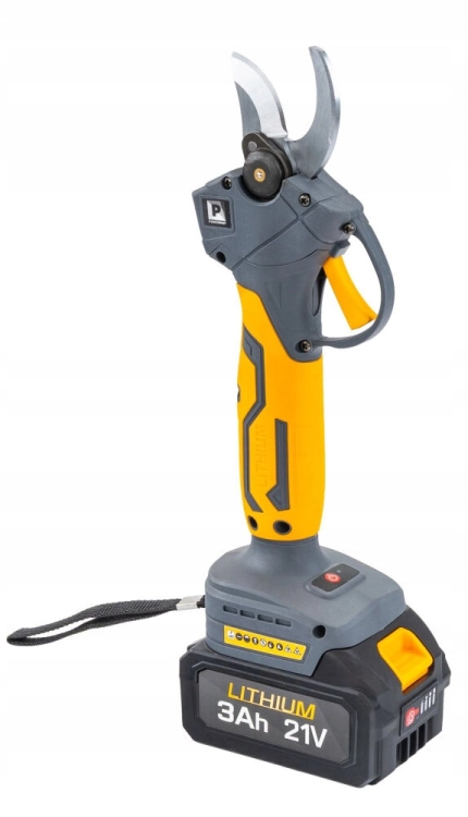 zdjęcie 7