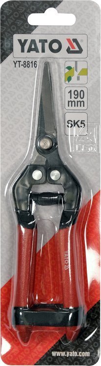 zdjęcie 5