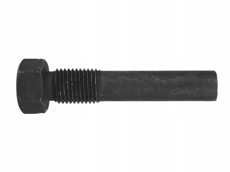 zdjęcie 8