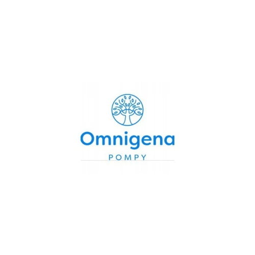 FILTR DYSKOWY ANTYPIASKOWY POMPY 1" 120 L/MIN