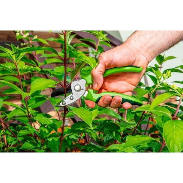 50dc87724326b360952d44000824c8d8