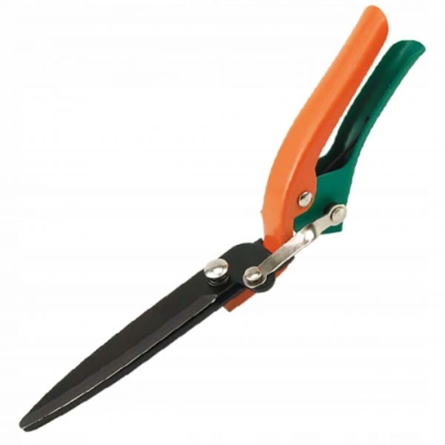 3815ea7e19bc31bbf1ef47792207f362