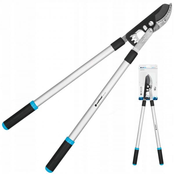 84fe96b5a8c6770493208a5a6f950d57