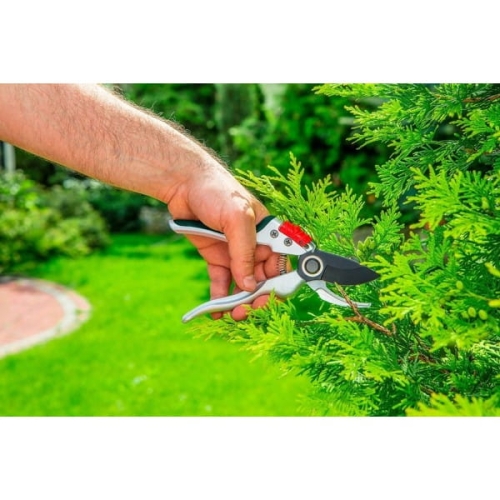 3aa23ea9529c7ecfcd93b65d36fbc8eb