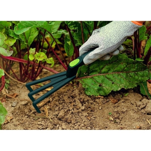 59d90c76a76b8914d2365bcf537cc9a1