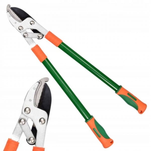 1beca53ccc6505b715c46e4da9b2a6c4