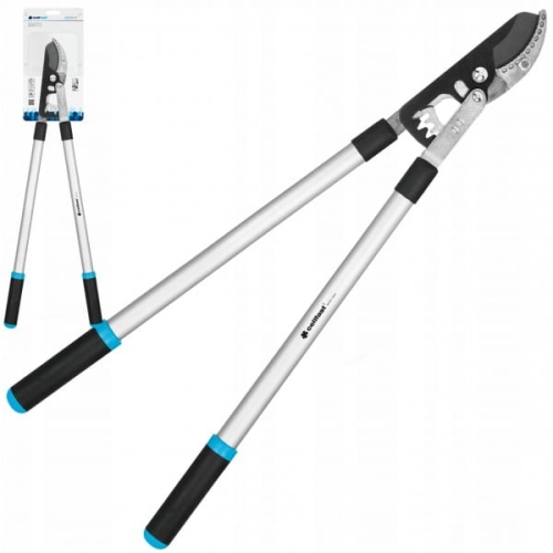 c0562006f3c4429369ff4f9c84883ebb