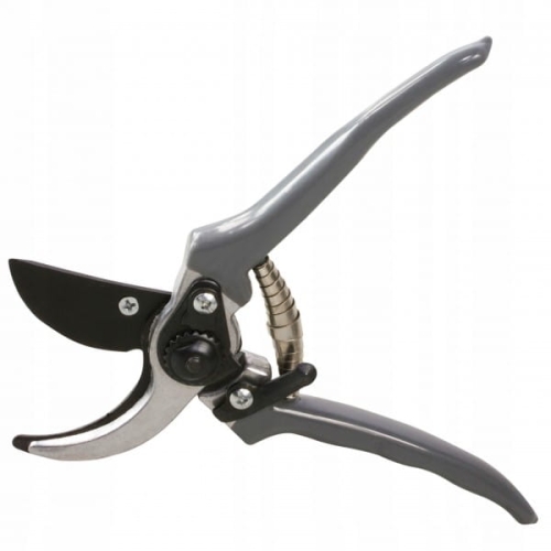 64337e271d160b624a618018a7cc2bd1