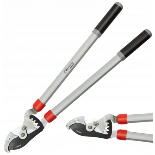 6fe80220449e0d0d86ec9b87aee0368e