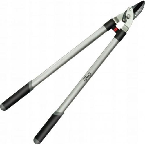 88e1958953822a007fc456f67adcd711