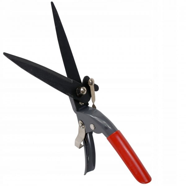 a9759b547124c9ab3f266dc6b7d21d97