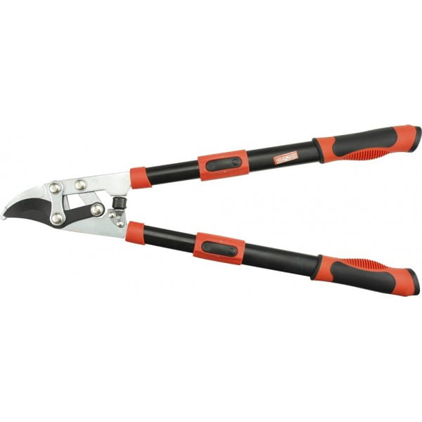 0a8e6dd9117e670c3450890629425004